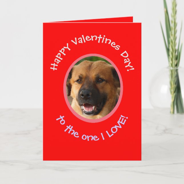 Funny Valentine From Dog To Owner Photo Card (Front)
