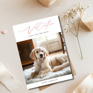 Funny Valentine I Woof You Very Much Dog Photo Holiday Card