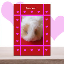 Funny Valentine -- Piggish