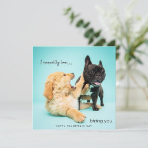 Funny Valentines Day Card - Dog Valentines Card