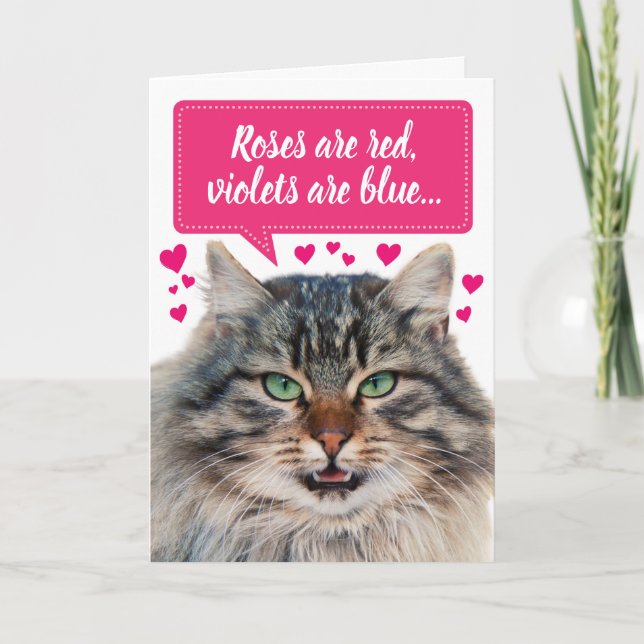 Funny Valentine's Day Maine Coon Cat Customizable Card (Front)