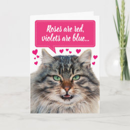 Funny Valentine's Day Maine Coon Cat Customizable Card