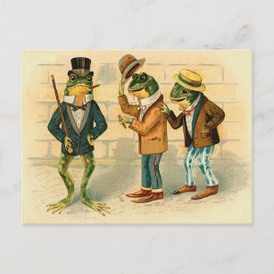 Funny Vintage Frogs Postcard
