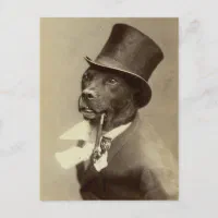 Dog with a top hat 2025