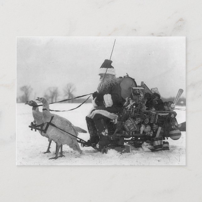 Funny Vintage Santa Turkey Sleigh Postcard (Front)