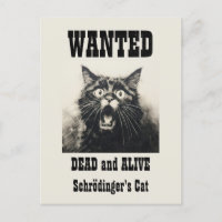 Funny Vintage Wanted Poster Schrödinger's Cat