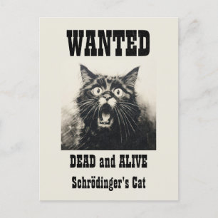 Funny Vintage Wanted Poster Schrödinger's Cat Postcard