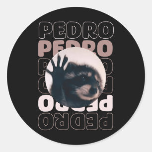 Funny Viral Pedro Dancing Raccoon Meme Pedro  Classic Round Sticker
