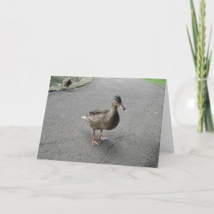 Funny Waddling Duck Birthday Card