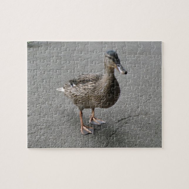 Funny Waddling Duck Puzzle (Horizontal)