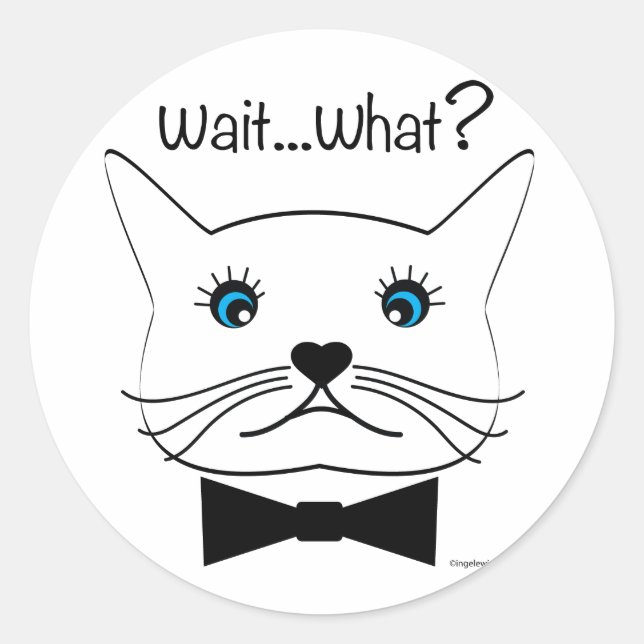 Funny Wait...What? Cross-Eyed Cat, Cool Classic Round Sticker (Front)