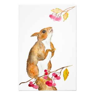 Funny watercolor squirrel on a branch with berries photo print