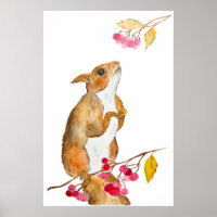 Funny watercolor squirrel on a branch with berries