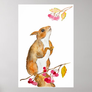 Funny watercolor squirrel on a branch with berries poster