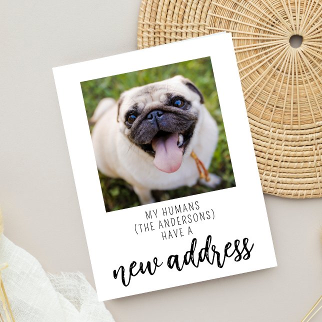 Funny We have Moved New Address Dog Pet Photo Postcard (Creator Uploaded)