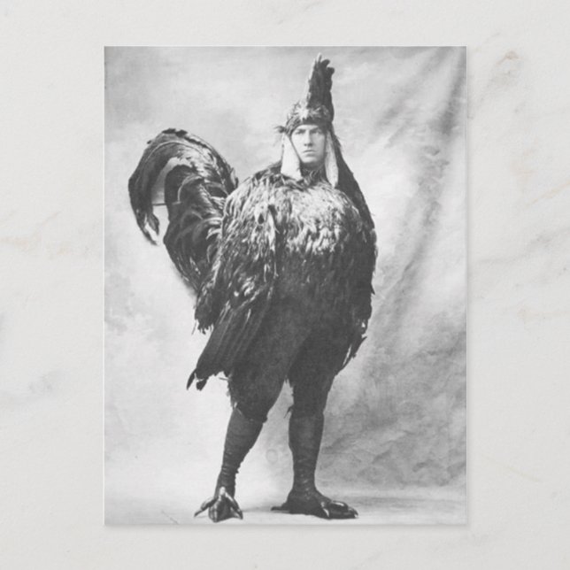 Funny Weird Vintage Photograph of Chicken Costume  Postcard (Front)