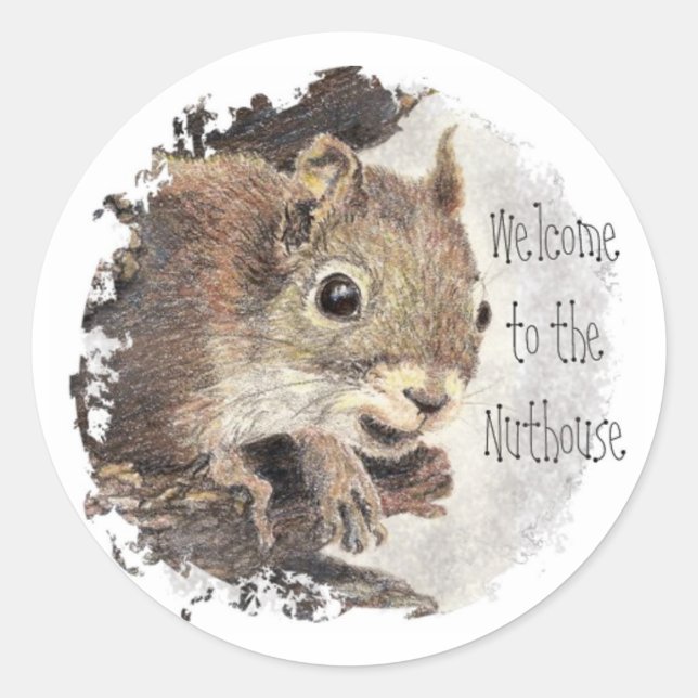 Funny, Welcome to the Nuthouse, Squirrel, Animal Classic Round Sticker (Front)