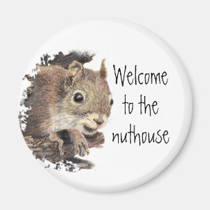 Funny, Welcome to the Nuthouse, Squirrel, Animal  Magnet