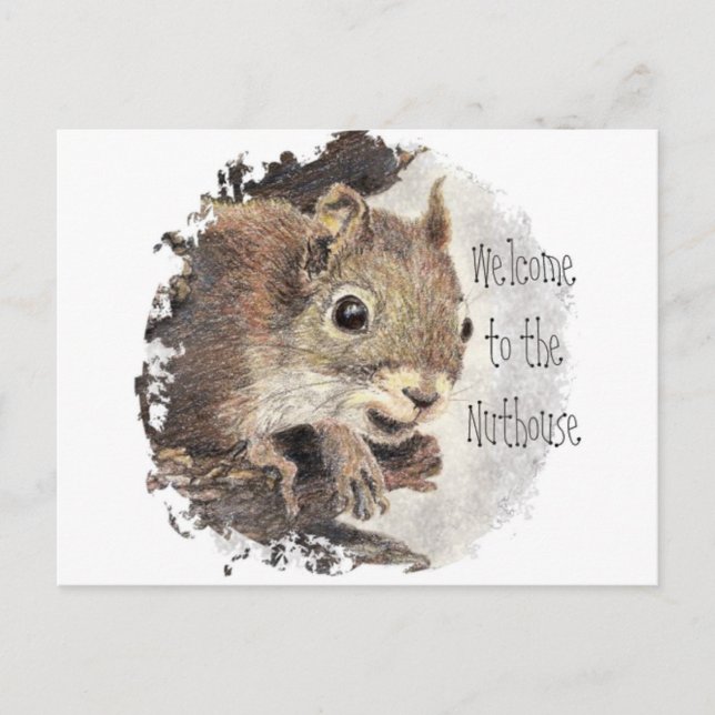 Funny, Welcome to the Nuthouse, Squirrel, Animal Postcard (Front)