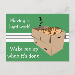 Funny "We're Moving" Cat New Address Announcements
