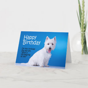 Funny Westie Birthday Card