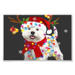Funny Westie Christmas Tee Reindeer Christmas Ligh Photo Print