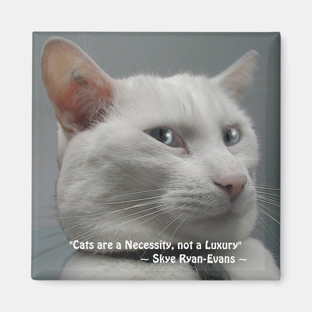 FUNNY WHITE CAT Magnet Series (Front)