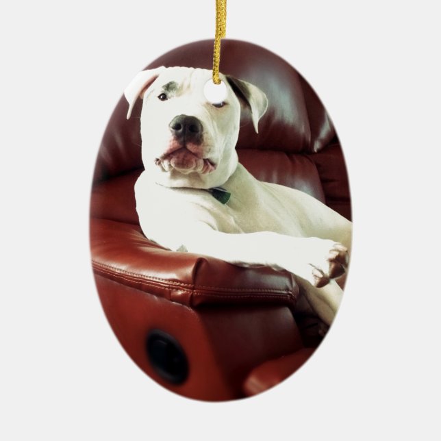funny white pit bull dog on the couch ceramic ornament (Front)