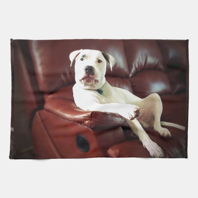 funny white pit bull dog on the couch kitchen towel (Horizontal)