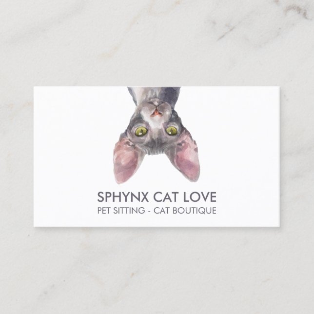 Funny White Sphynx Cat Business Card (Front)