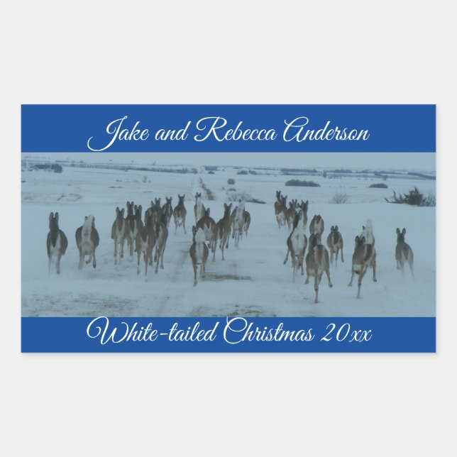 Funny Whitetail Deer Christmas   Sticker (Front)