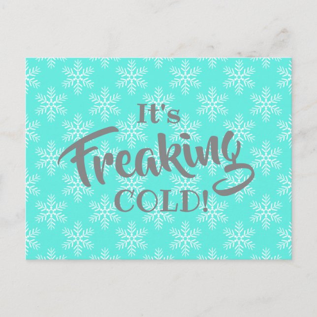 Funny Winter Freaking Cold Holiday Postcard (Front)