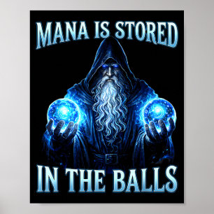 Funny wizard magician sorcerer mana is stored in poster