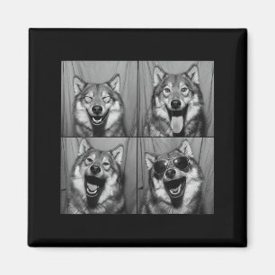 Funny Wolf Photo Booth Sungles Dog Magnet