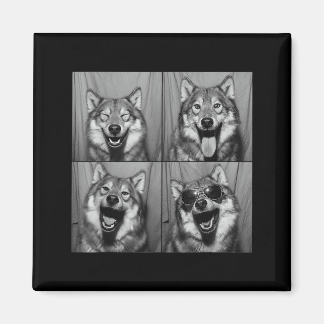 Funny Wolf Photo Booth Sungles Dog  Magnet (Front)