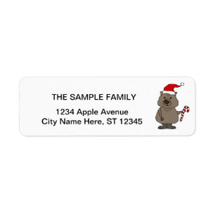 Funny Wombat à Noël à Santa Hat