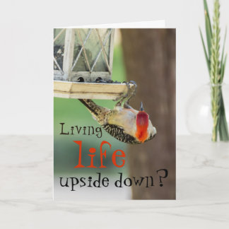 Funny Woodpecker Photography Typography Life Quote Card