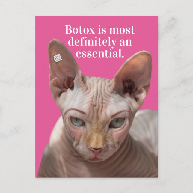 Funny Wrinkled Cat- Botox Is Essential Postcard (Front)