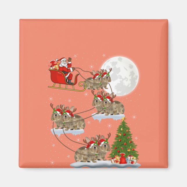 Funny Xmas Lighting Tree Santa Riding Bunny Christ Magnet (Front)