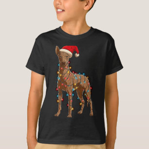 Funny Xoloitzcuintli Christmas Graphic Dog Lights  T-Shirt