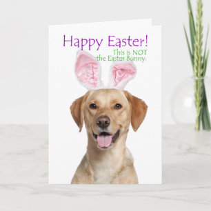 Funny Yellow Lab Carte de Pâques