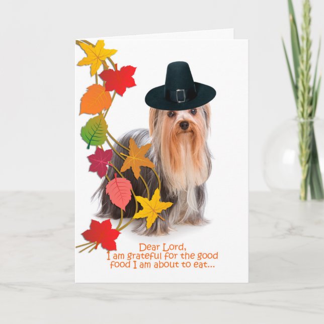 Funny Yorkie Thanksgiving Card (Front)