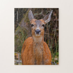 Funny Young Blacktail Deer Smiles at Photographer Jigsaw Puzzle