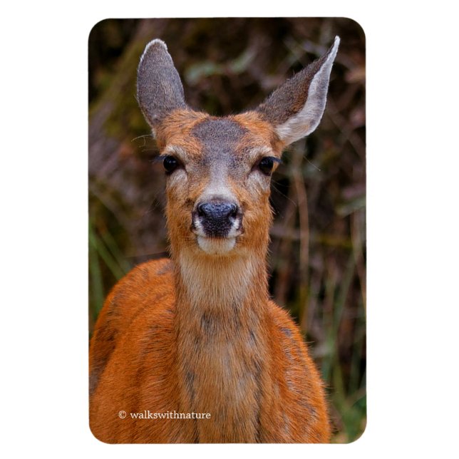 Funny Young Blacktail Deer Smiles at Photographer Magnet (Vertical)