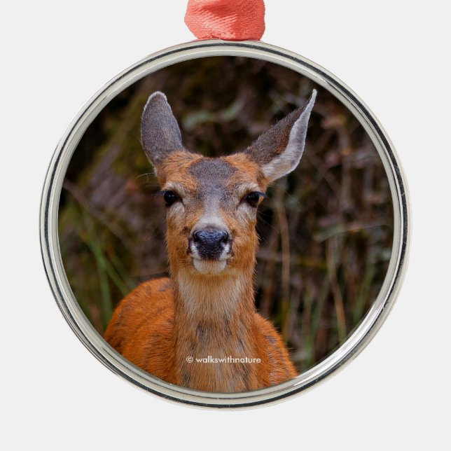 Funny Young Blacktail Deer Smiles at Photographer Metal Ornament (Front)