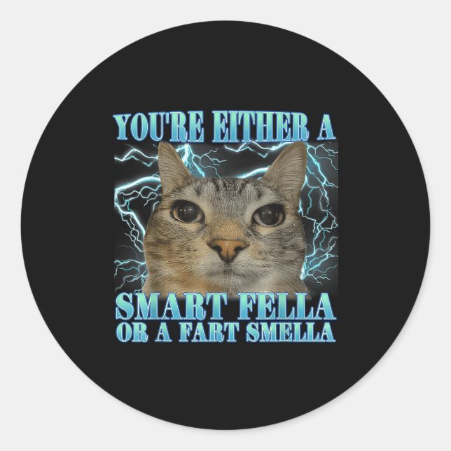 Funny You're Either A Smart Fella Or A Fart Smella Classic Round Sticker (Front)