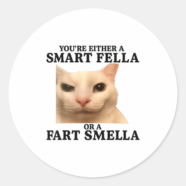 Funny You're Either A Smart Fella Or A Fart Smella Classic Round Sticker (Front)