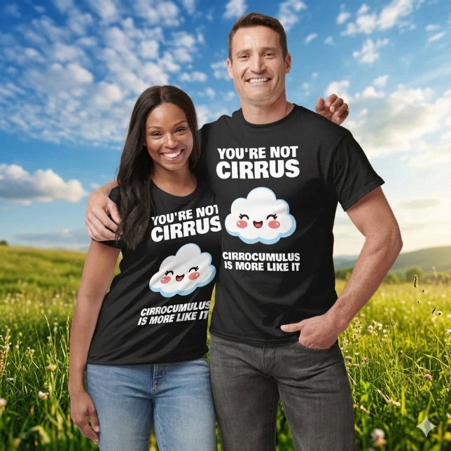 Funny You're Not Cirrus Cloud Jokes T-Shirt (Funny You're Not Cirrus Cloud Joke Shirt Cover Photo)