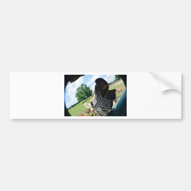 Funny Zebra Bumper Sticker (Front)