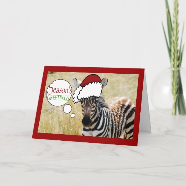 Funny zebra Christmas greeting Holiday Card (Front)